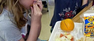 Nationwide Service Disruptions Impacting School Meals
